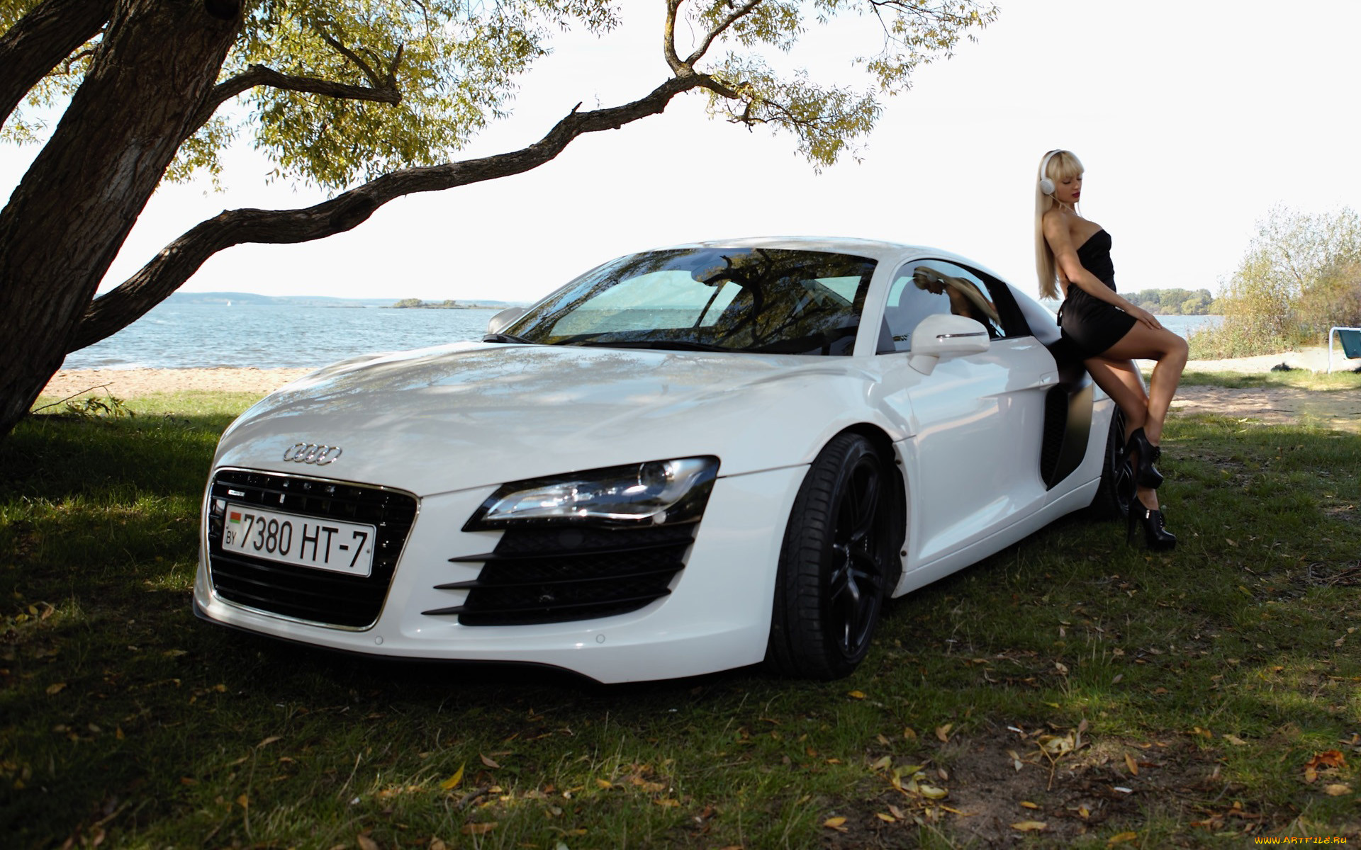 , -  , audi